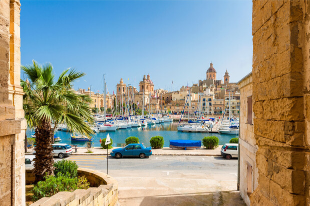 Boats rest docked in a vibrant marina, surrounded by historic buildings and a clear blue sky. A tree and parked cars line the waterfront, creating a scenic waterfront view.
